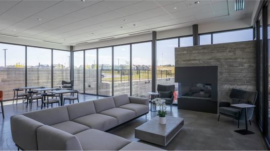 Macanta: The Grand Collection 29