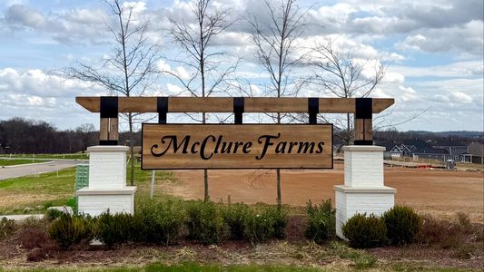 McClure Farms Townhomes by DRB Homes in Columbia - image