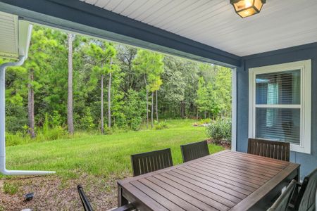 Wilford Oaks by Dream Finders Homes in Orange Park - photo 19 19