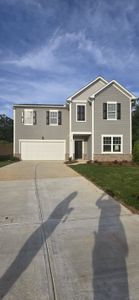 Greyson Parc by Starlight Homes in Locust Grove - photo 7 7