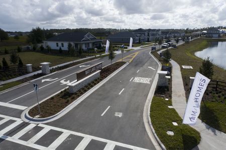 Bay Lake Farms by M/I Homes in St. Cloud - photo 31 31