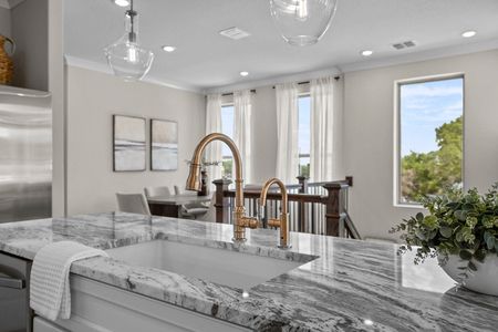 Friedrich Hill by Rosehaven Homes in San Antonio - image 10