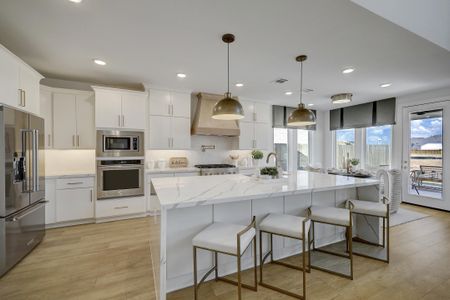 Harvest Green by Westin Homes in Richmond - photo 3 3