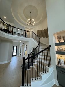 Nolina - 50' by Westin Homes in Georgetown - photo 40 40