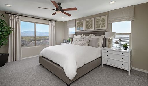 Seasons at Lucero by Richmond American Homes in Goodyear - photo 14 14