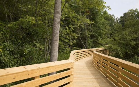 Townhomes at Wendell Falls by Brookfield Residential in Wendell - image 9