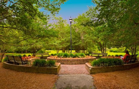 Bradford Pointe by Centex in Summerville - photo 18 18