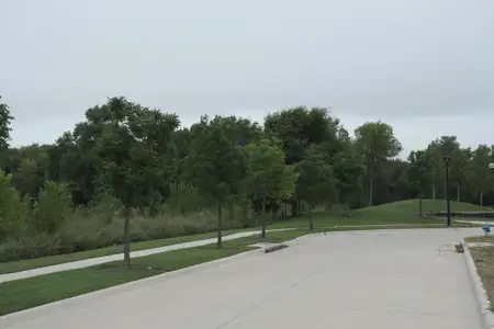 Painted Tree - Woodlands District by CB JENI Homes in McKinney - image