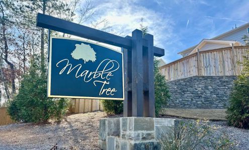 Marble Tree by Eastwood Homes in Ball Ground - image