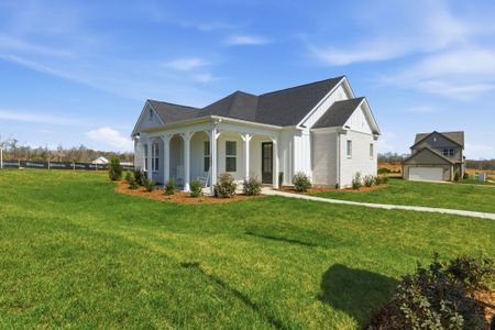 Marlon's Creek by Regent Homes in Spring Hill - image 10