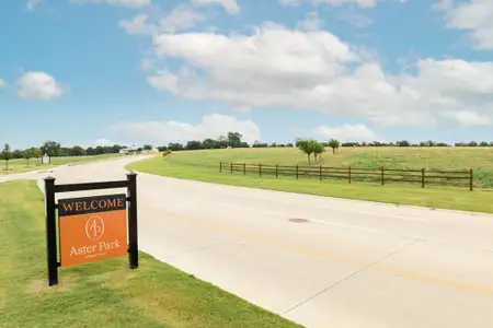 Aster Park by M/I Homes in McKinney - image 15