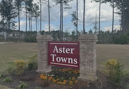 Aster Towns by Starlight Homes in Summerville - image