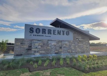 Sorrento by D.R. Horton in Richmond - photo 0