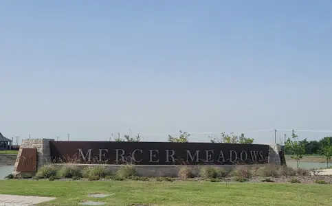 Mercer Meadows by Taft Homes in Royse City - image