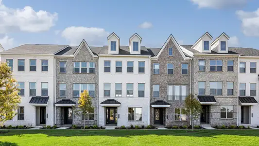 Meadowlark - Sapling Collection by Toll Brothers in Murfreesboro - image 15