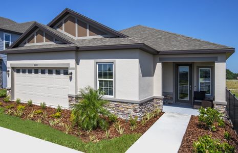 Royal Highlands by Maronda Homes in Brooksville - photo 8 8