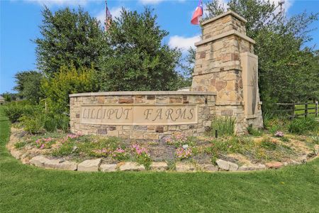 Lilliput Farms by Century Communities in New Caney - photo 14 14