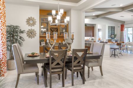 Bellero Estates by Elliott Homes in Queen Creek - photo 45 45