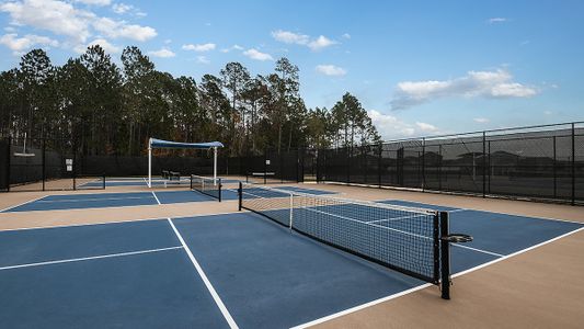 Cherry Elm at SilverLeaf by Taylor Morrison in St. Augustine - photo 13 13