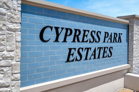 Cypress Park Estates by D.R. Horton in Haines City - photo 5 5