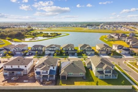 Berry Bay by M/I Homes in Wimauma - photo 5 5