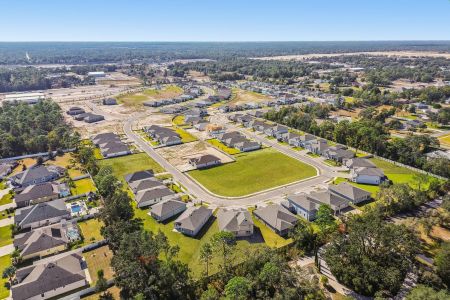 Avalon West by M/I Homes in Spring Hill - image