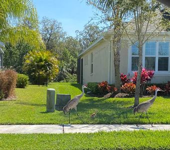 Tea Olive Terrace at the Fairways by William Ryan Homes in Palmetto - photo 17 17