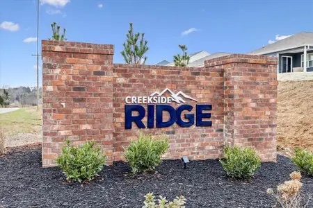 Creekside Ridge by D.R. Horton in Dandridge - image