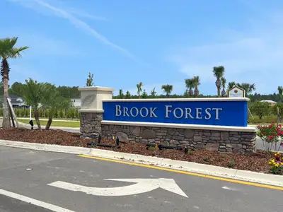 Brook Forest, a new home community in St. Augustine, FL Brook Forest, a new home community in St. Augustine, FL