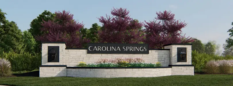 Carolina Springs: Capitol Collection by Lennar in Apex - photo 0 0