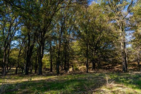 Bella Communities - Master planned community in Fort Worth, TX 6