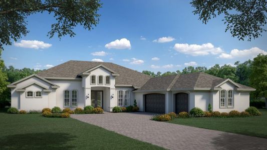 Lake Toscana by Sunrise Homes in Wimauma - image 5