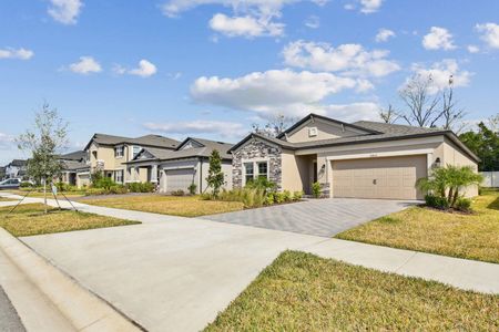 Hilltop Point by M/I Homes in Dade City - photo 73 73