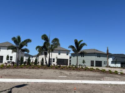 Stonegate Preserve: The Manors by Lennar in Palmetto - photo 7 7