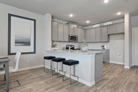 Cloverleaf Crossing Townhomes by HistoryMaker Homes in Mesquite - photo 9 9