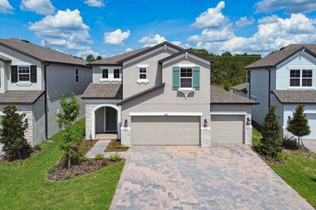 Anderson Snow Estates by M/I Homes in Spring Hill - photo 29 29