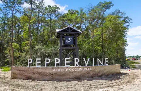 Peppervine by Centex in Porter - photo 0