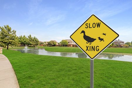 Country Lakes by Bloomfield Homes in Argyle - image 3