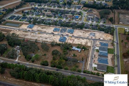 Whiting Estates by William Ryan Homes in Spring Hill - photo 24 24