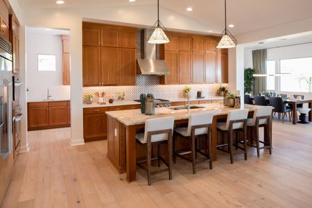 Elegance at Eastmark by Woodside Homes in Mesa - photo 34 34