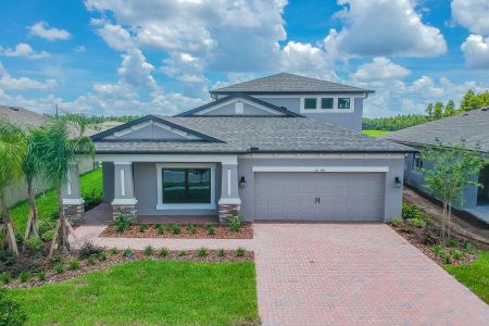 Anderson Snow Estates by M/I Homes in Spring Hill - photo 28 28