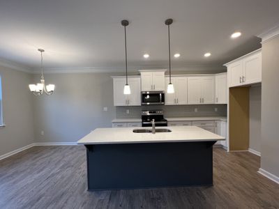 The Villages at Brookmont by Hadi Builders in Douglasville - photo 21 21