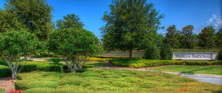 Amelia National by ICI Homes in Fernandina Beach - photo 9 9