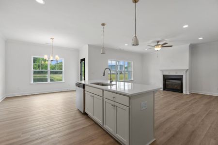 Arbor Hills South II by Bill Clark Homes in Greenville - image 8