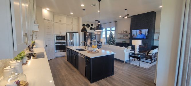 Alsatian Oaks 60' by Perry Homes in Castroville - photo 38 38