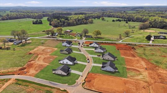 Bent Tree by Enchanted Homes in Gaffney - image