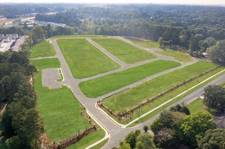 Darlington by Stanley Martin Homes in Loganville - photo 0