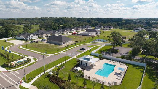 Fairway Pointe - Villa Community by William Ryan Homes in Sun City Center - image
