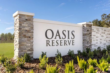Oasis Reserve by KB Home in Orlando - image