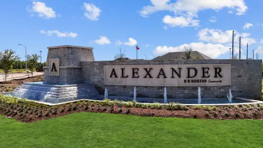 Alexander Townhomes by D.R. Horton in Pearland - image
